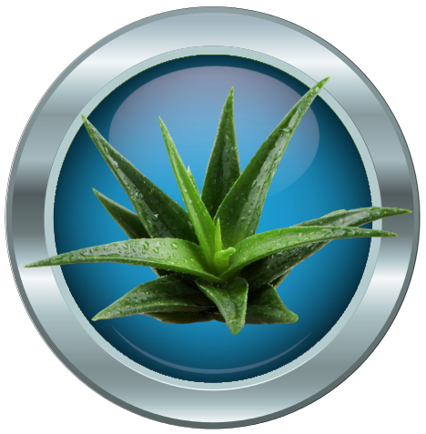 Koifutter Aloe Verwa