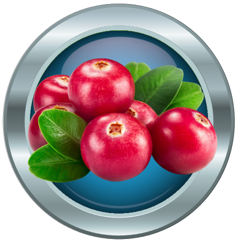 Koifutter Cranberries