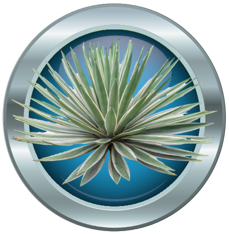 Koifutter Yucca Shidigera