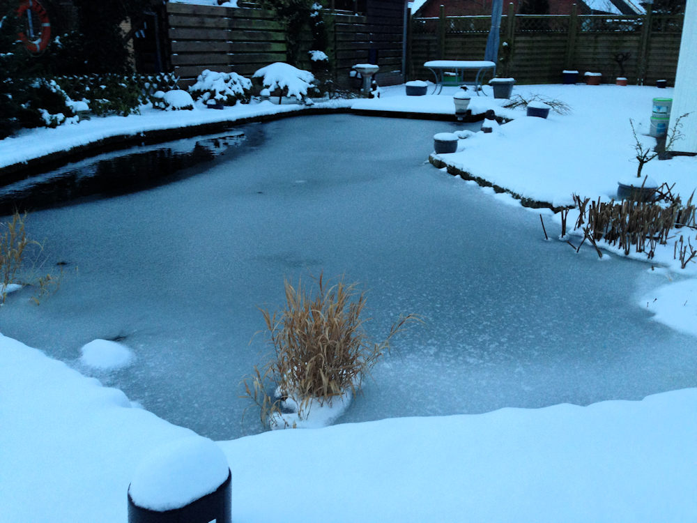 Schnee und Eis am Koiteich