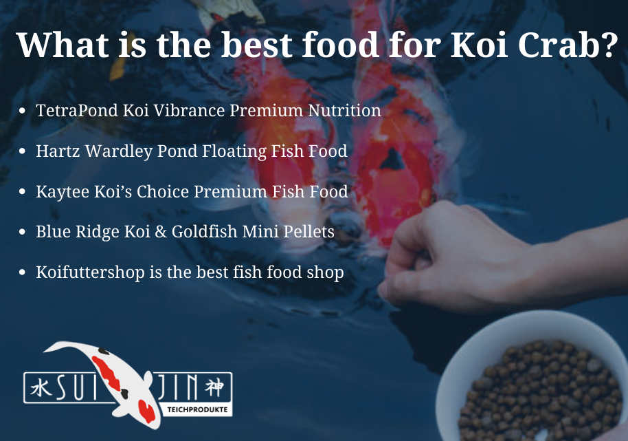 What is the best food for Koi Carp