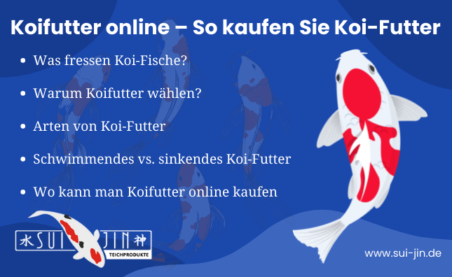 Koifutter online – So kaufen Sie Koi-Futter
