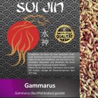 (Bild für) Gammarus Bachflohkrebse, gesiebt - 3 L