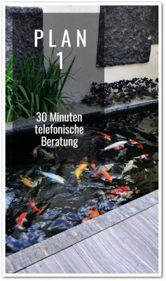 Koiteich Planung PLAN 1