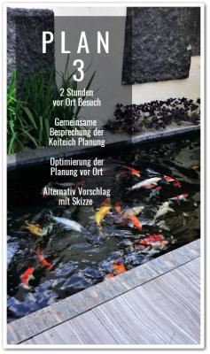 Koiteich Planung PLAN 3
